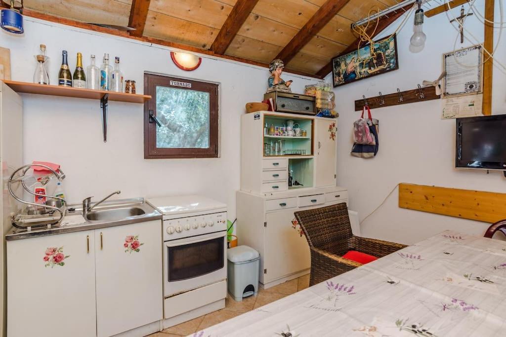 זאדאר Apartment Roko - Up To 4 People With Free Parking מראה חיצוני תמונה